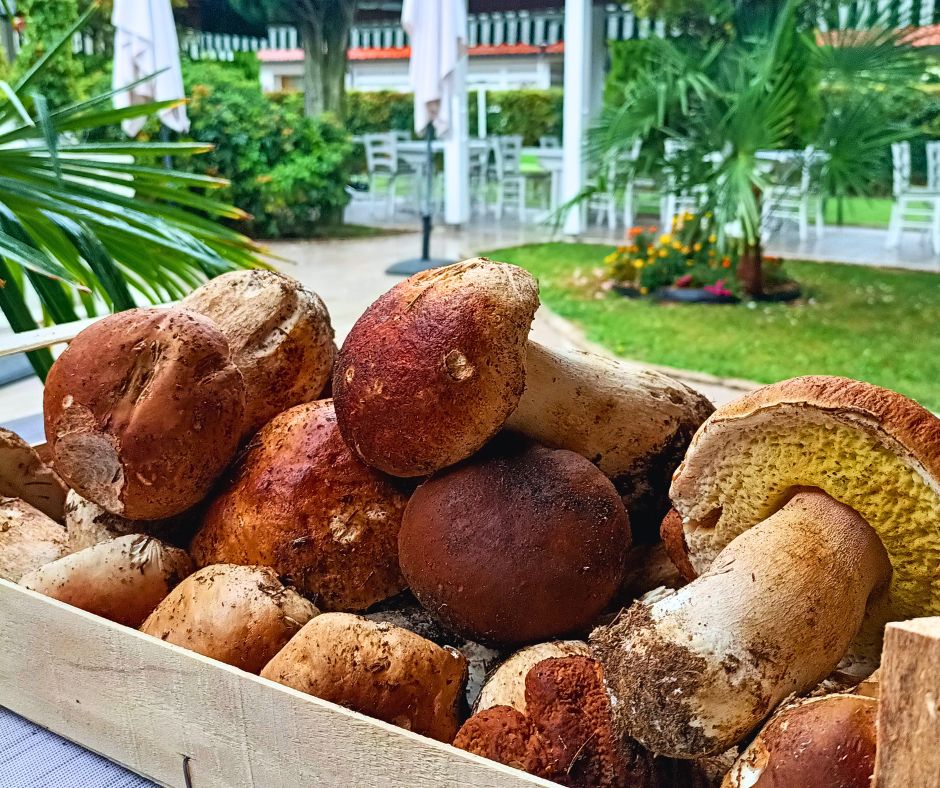 Parfum de sous-bois à table : les cèpes frais sont arrivés dans les suggestions du jour