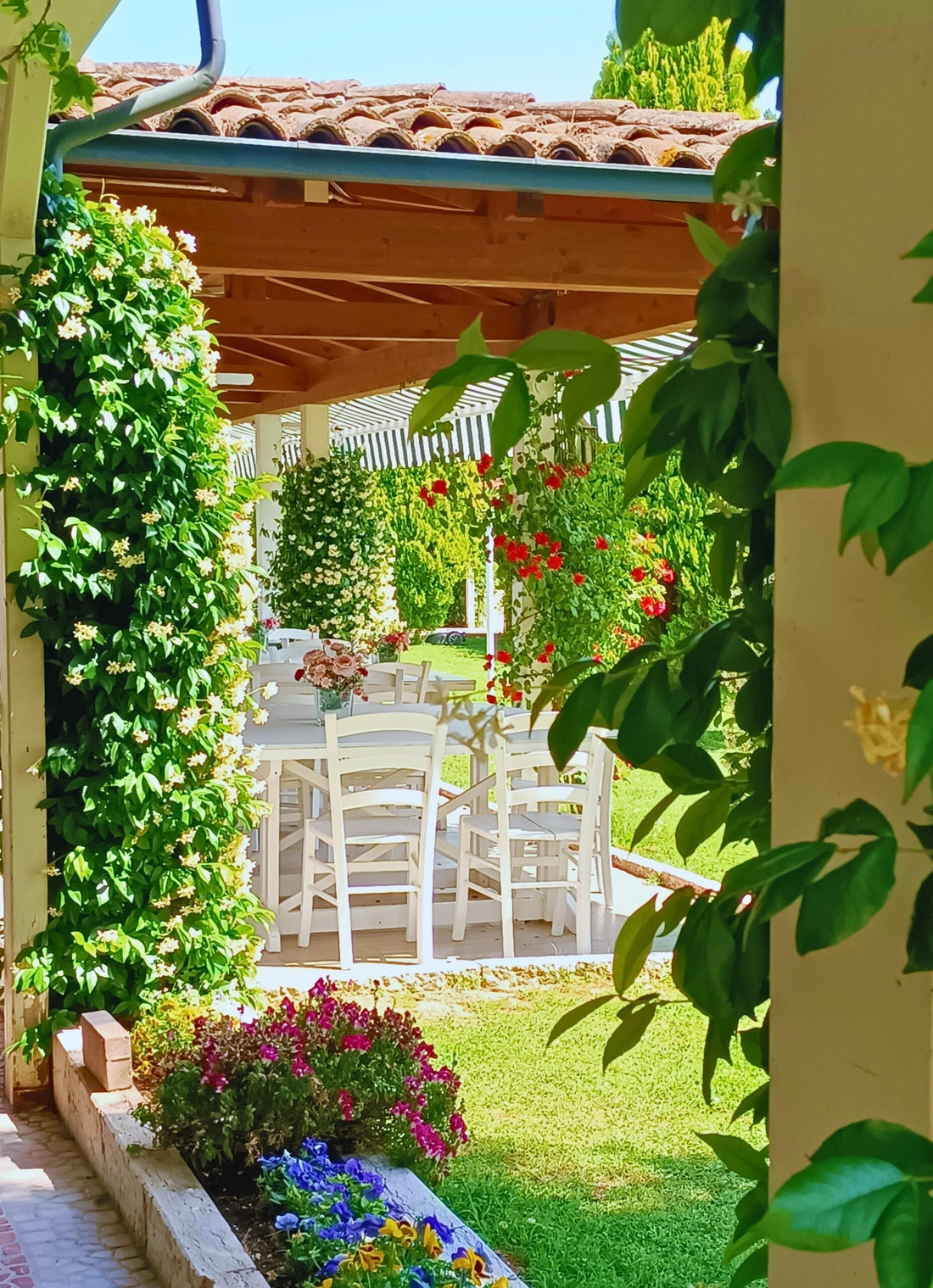 Summer details in our summer garden