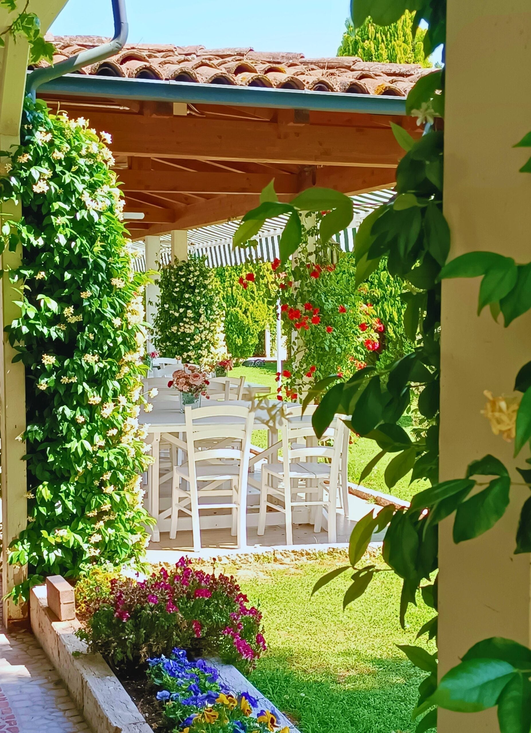Summer details in our summer garden